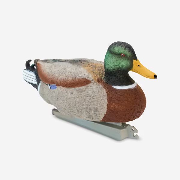 canard APPELANT COLVERT MALE 500 HD