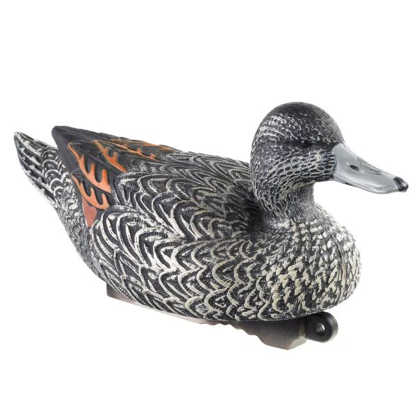 canard APPELANT PILET FEMELLE HD