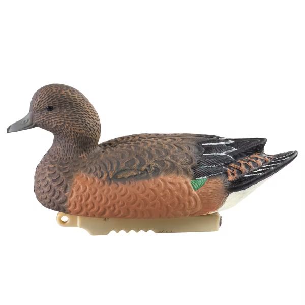 canard APPELANT SIFFLEUR FEMELLE HD