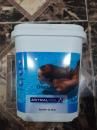 Chlore choc pastille 20G Bidon 5Kg (Traitement d'eau)